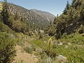 2014 Mt Baldy Cali 208